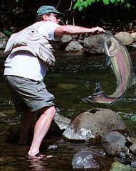 Catch and Release